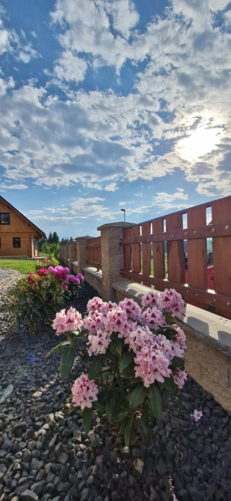 Apartmany Plesivec Abertamy Exterior photo